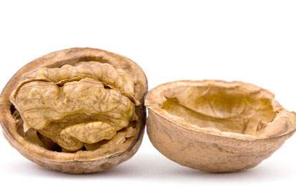 400x285-walnut